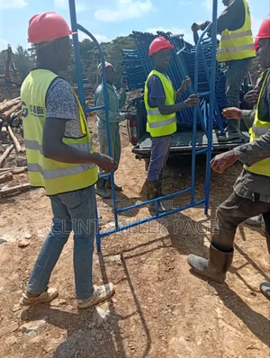 Blue Builders' Scaffold Ladders