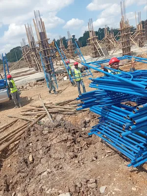 Steel Scaffolds Ladder System (Blue)