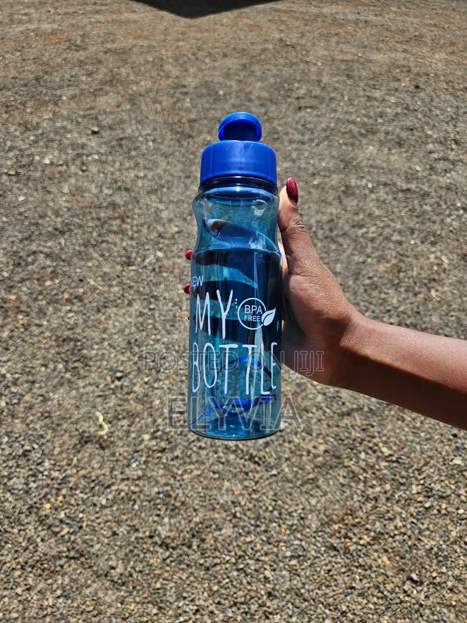Water Bottle