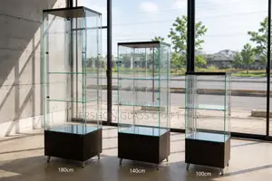 Modern Glass and Stand Display