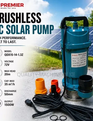 Reliable 1100w Premier Brushless Dc Solar Submersible Pump