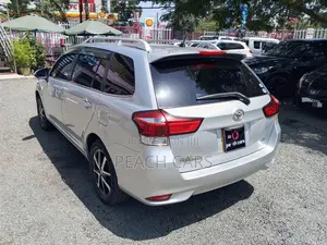 Toyota Corolla Fielder 2018 Silver
