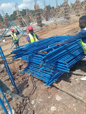 Blue Multi- Purpose Scaffolding Ladders