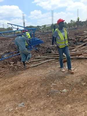 Blue Multi- Purpose Scaffolding Ladders