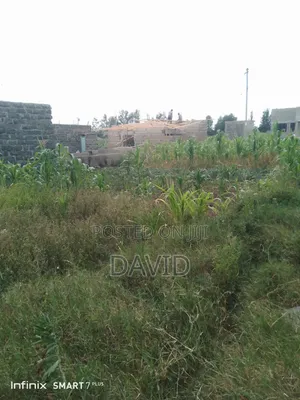 Plot for Sale 50 by 100 in Nakuru