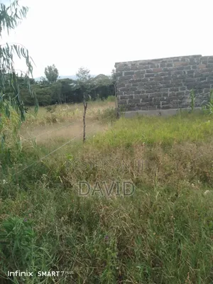Plot for Sale 50 by 100 in Nakuru