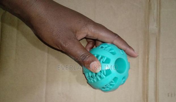 Dog Treat Dispenser Chew Ball Toy