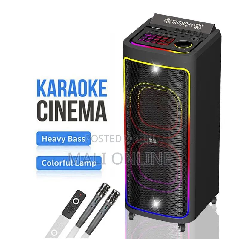 Sayona 24000w Portable Party Speaker 12" Woofer With 2 Wireless Mics