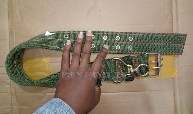 Walking Dog Pet Collar