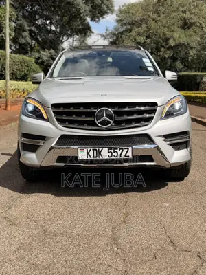 Mercedes-Benz M Class 2014 Silver
