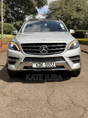 Mercedes-Benz M Class 2014 Silver