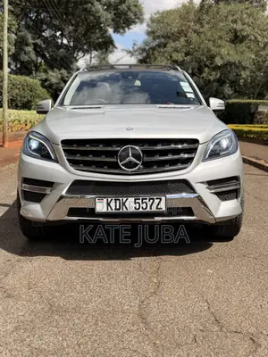 Mercedes-Benz M Class 2014 Silver