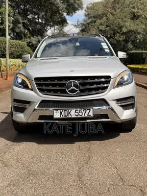 Mercedes-Benz M Class 2014 Silver