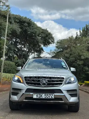 Mercedes-Benz M Class 2014 Silver