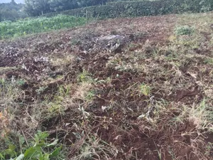 Plots and Land