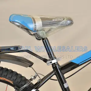 Stylish Swing Fat Wheel Bike
