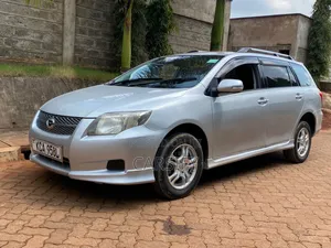 Toyota Corolla Fielder 2007 Silver