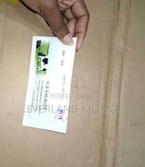 Pregnancy Test Strip Cattle