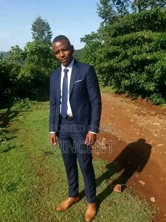 Vincent Accounting and Cv