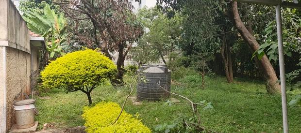 Land for Sale - thumbnail 2