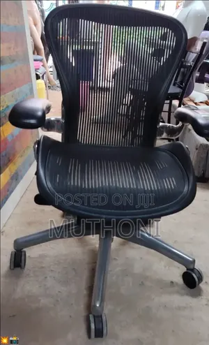 Quality Orthopaedic Chair