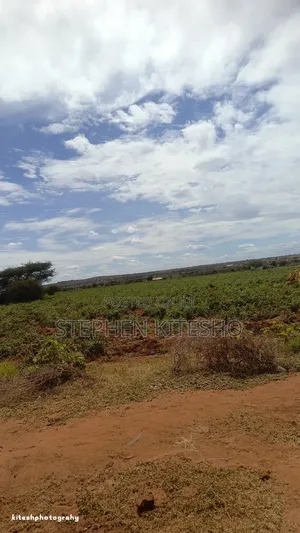 5acres for Sale Along Simba Cement Tarmac Road Near Pipeline