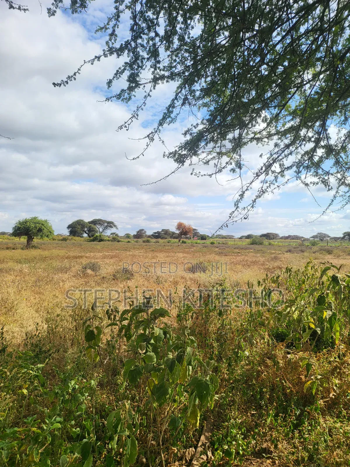 42acres for Sale Located Mashuru Highway