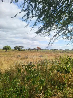 47acres for Sale Located Mashuru Highway