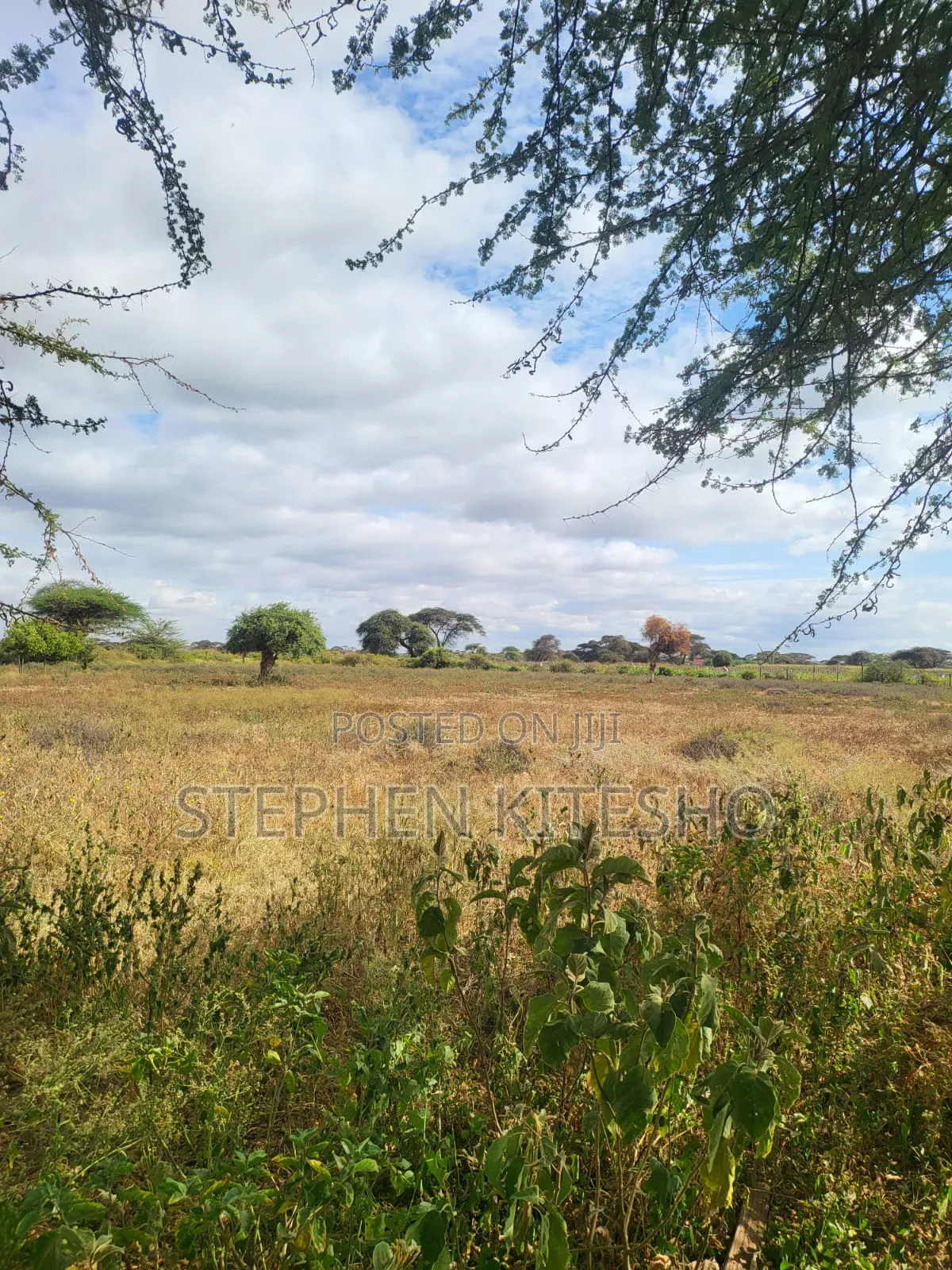 42acres for Sale Located Mashuru Highway