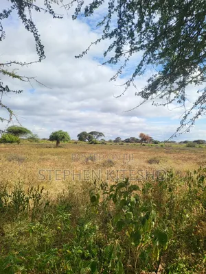 42acres for Sale Located Mashuru Highway