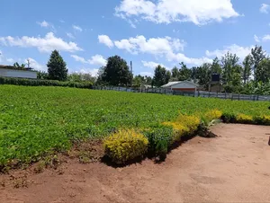3bdrm House in Fafaro, Likuyani for sale