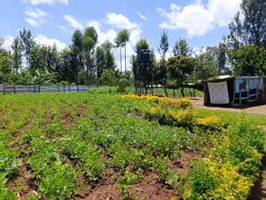3bdrm House in Fafaro, Likuyani for sale