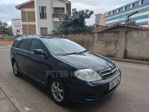 Toyota Corolla Fielder 2004 Black