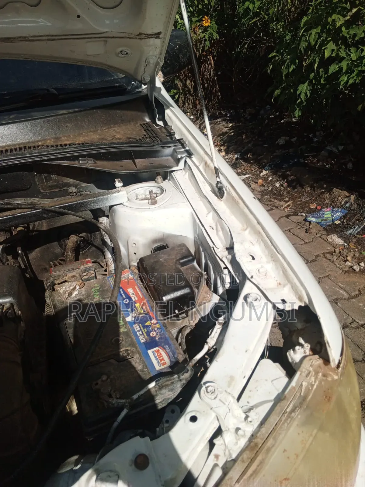 Toyota Succeed 2006 White
