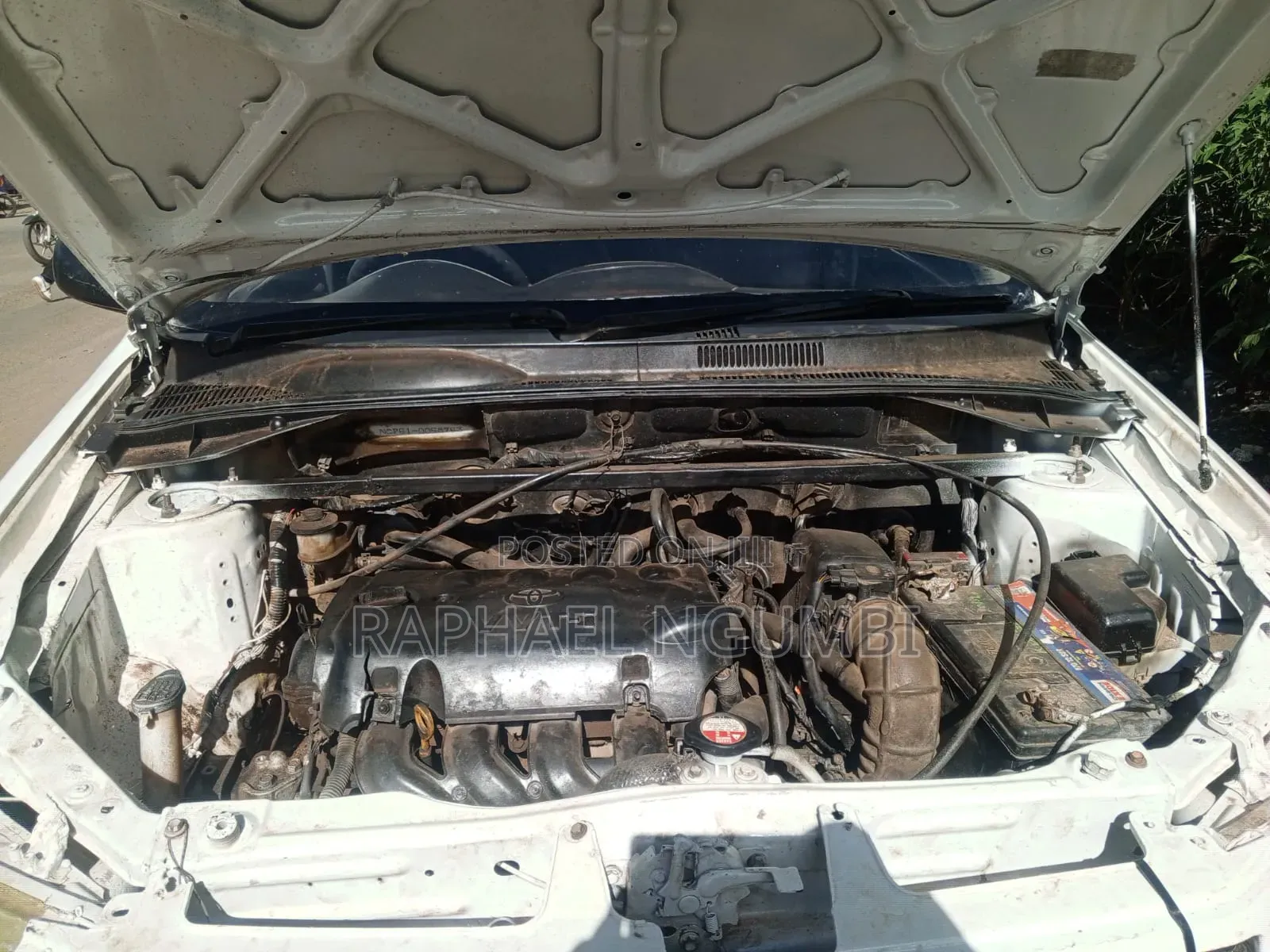 Toyota Succeed 2006 White