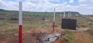 50*100 Plots