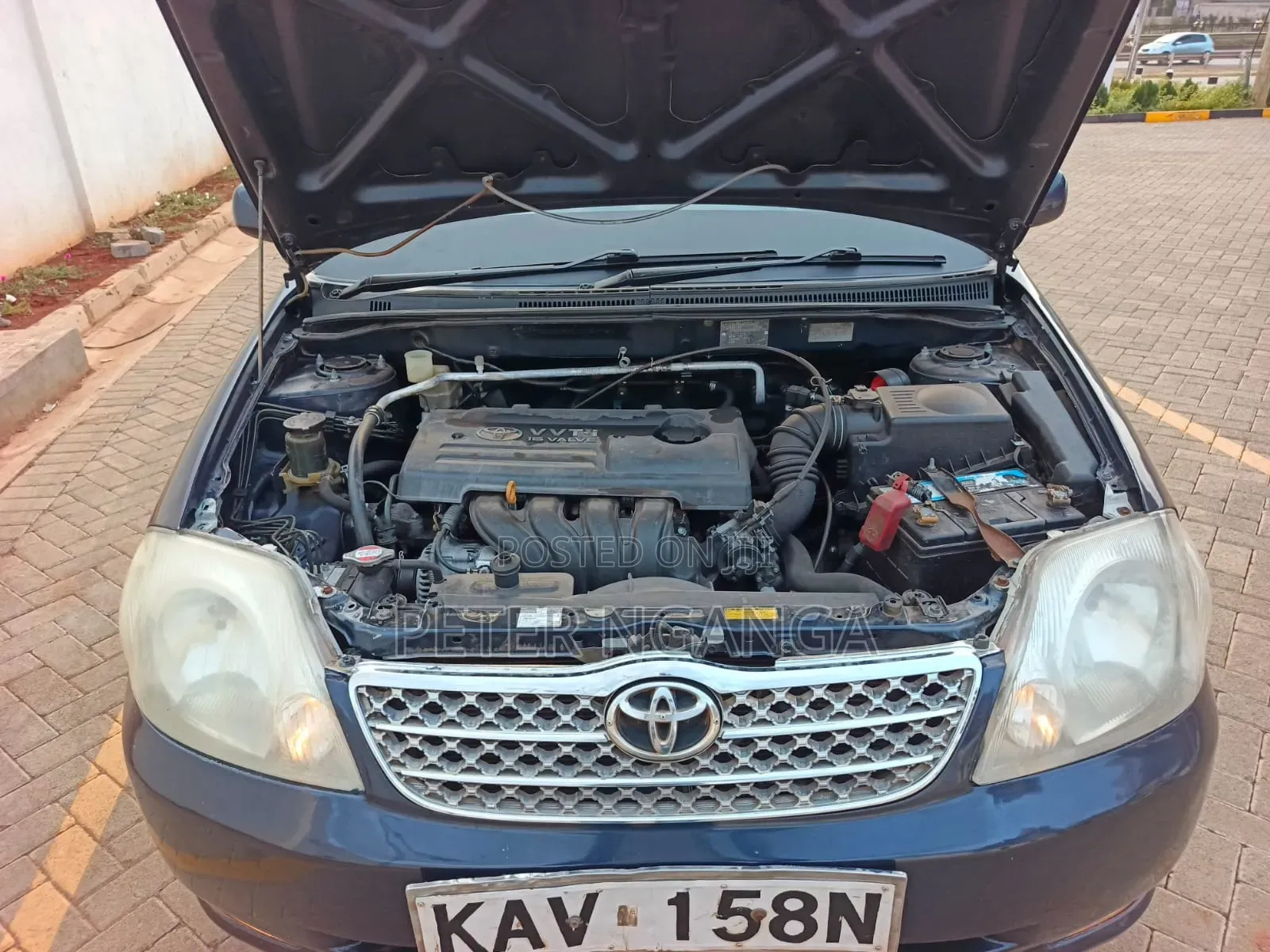 Toyota Corolla 2003 Blue