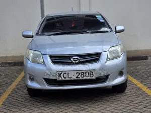 Toyota Corolla Fielder 2009 Silver
