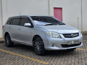 Toyota Corolla Fielder 2009 Silver