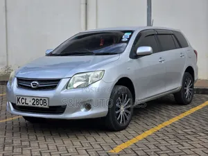 Toyota Corolla Fielder 2009 Silver