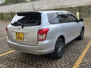 Toyota Corolla Fielder 2009 Silver