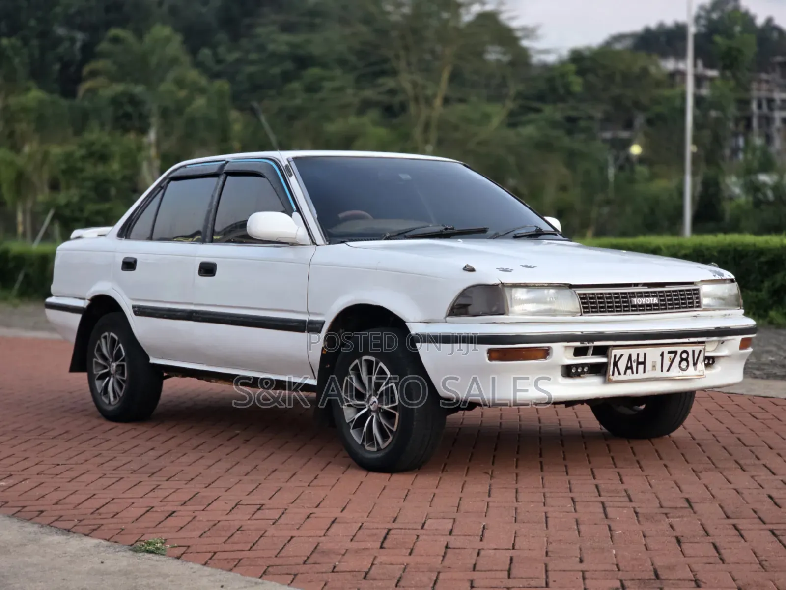 Toyota Corolla 1999 White