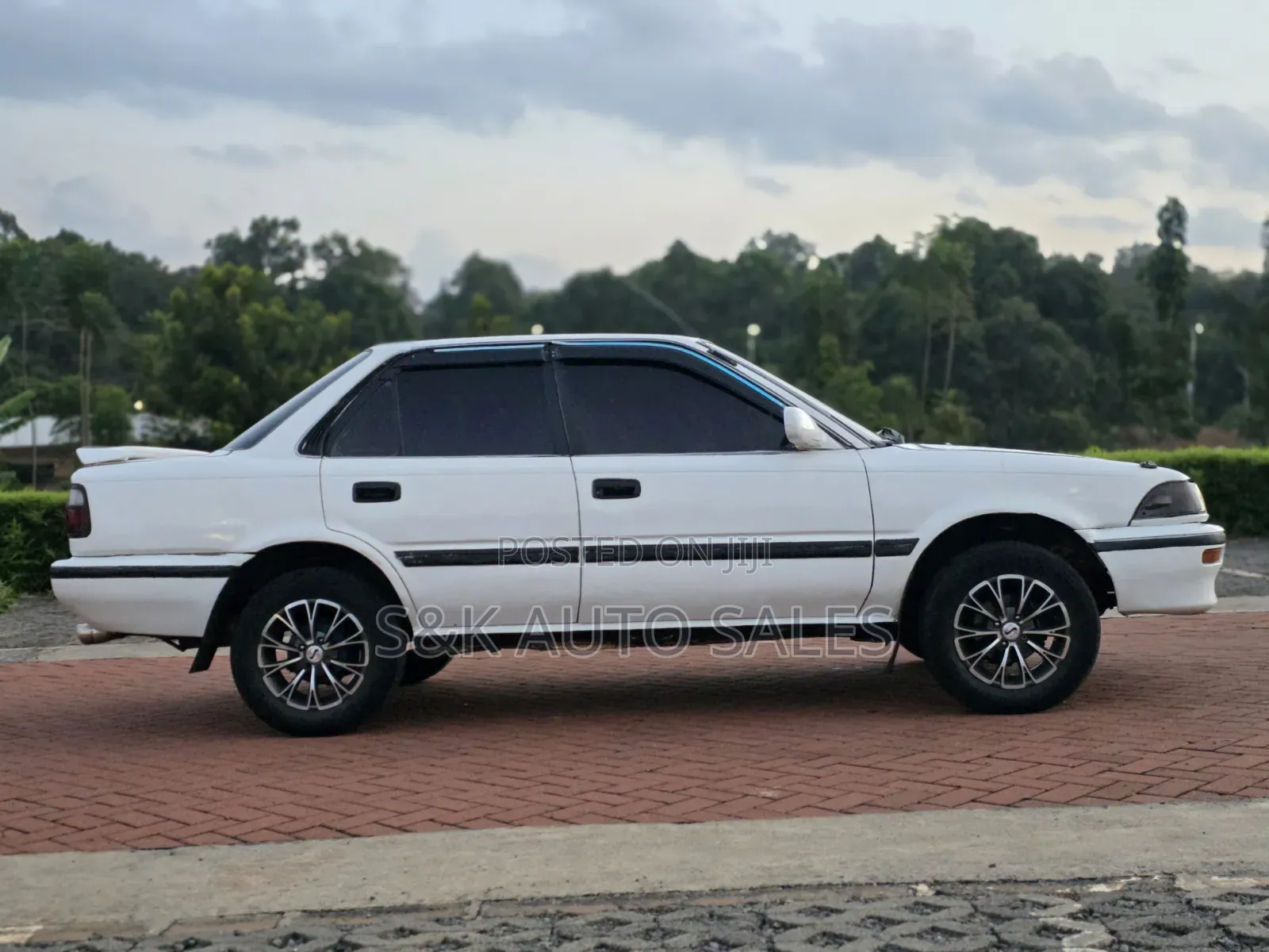 Toyota Corolla 1999 White