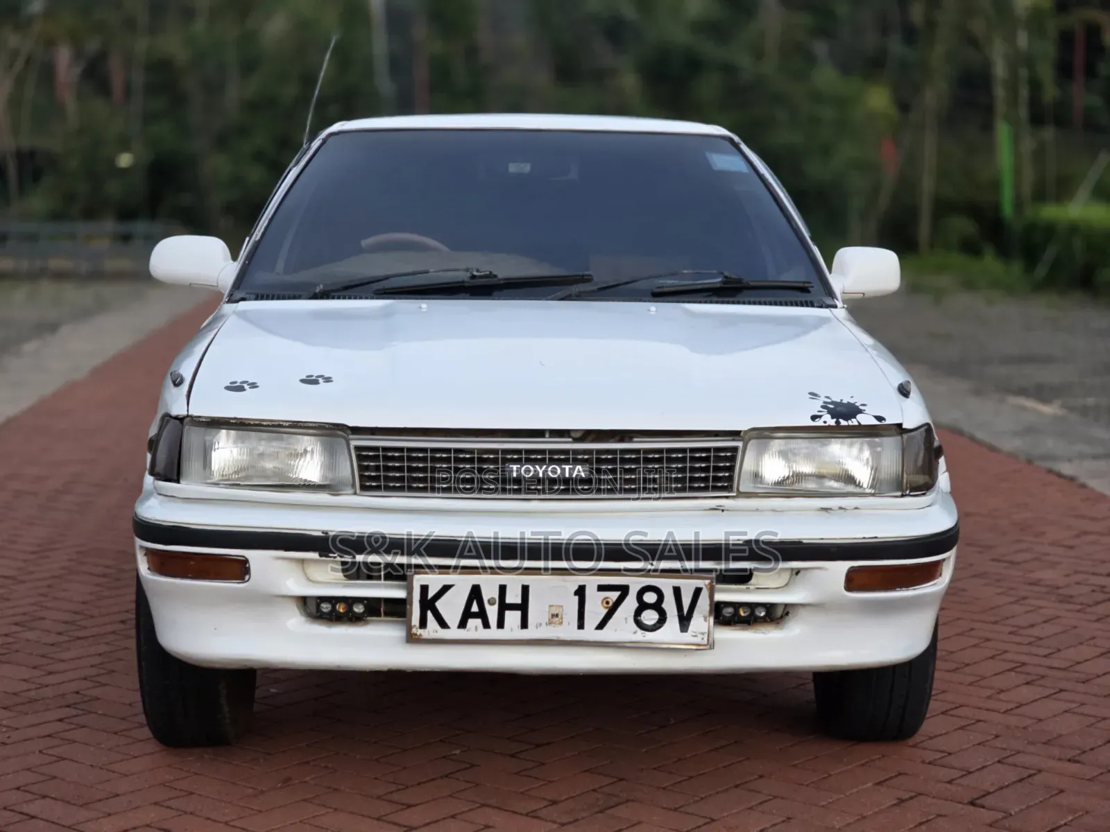 Toyota Corolla 1999 White