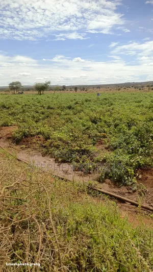 10acres for Sale at Loitoktok Imbrrikani Area