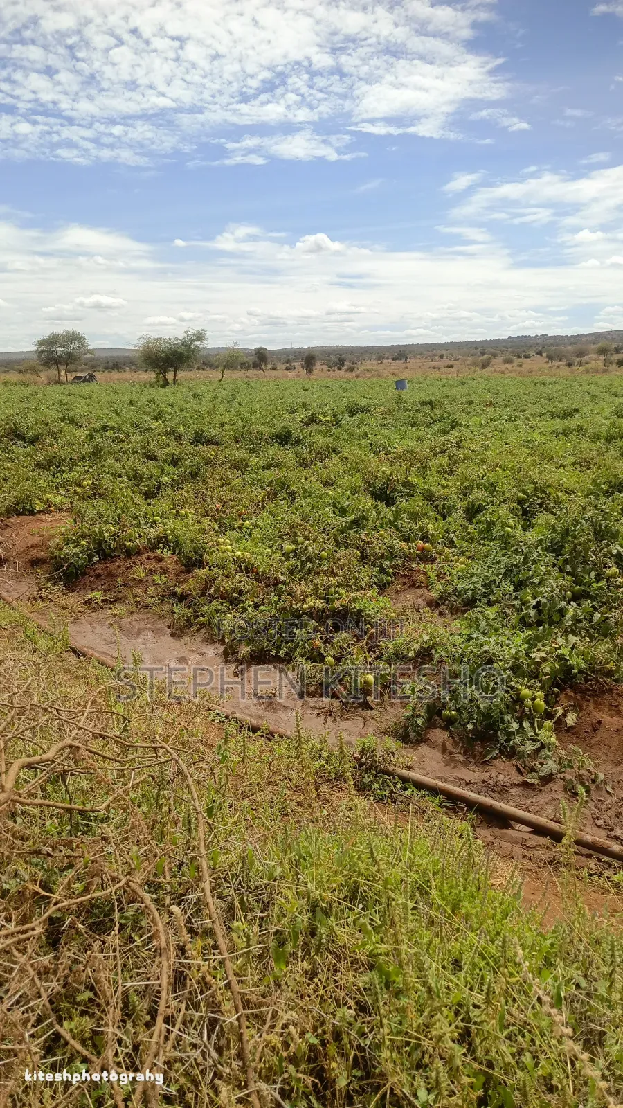 10acres for Sale at Loitoktok Imbrrikani Area