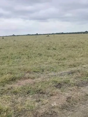 100 Acres Prime Land for Sale in Kipeto Kajiado