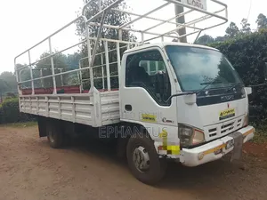 Isuzu NPR 2010 White