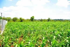Matuu Plot for Sale