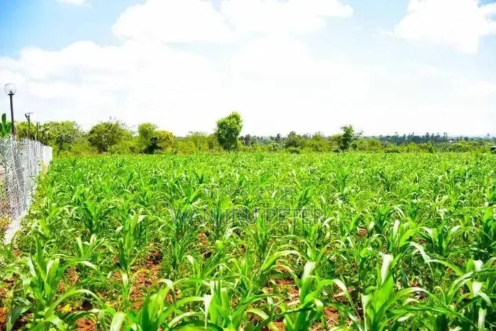 Matuu Plot for Sale